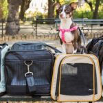 Dog Travel Bag