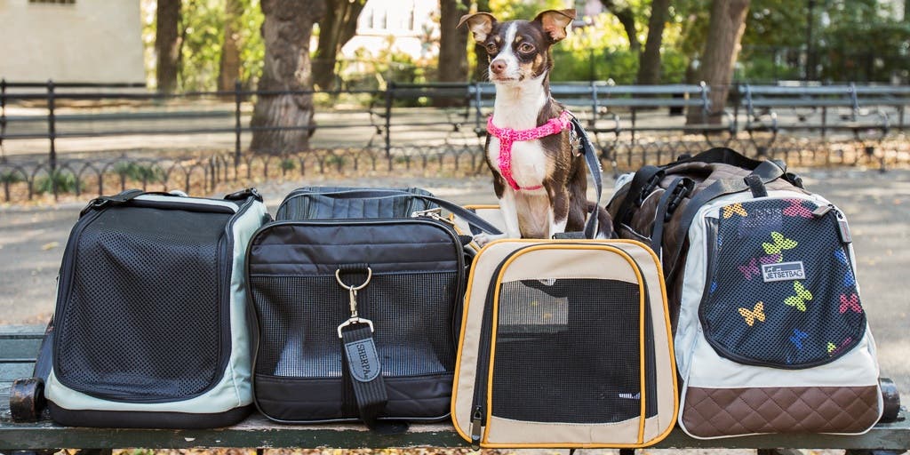 Dog Travel Bag  : The Ultimate Essential for Convenient Canine Travel